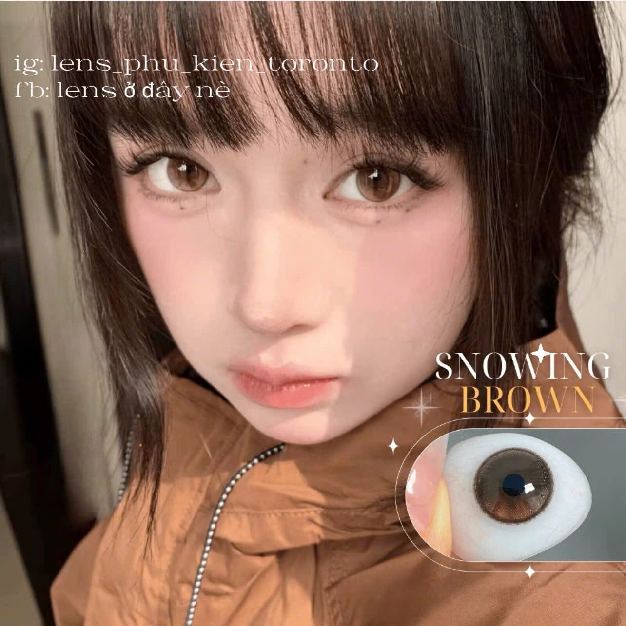 Contact Lens - Snowing Brown