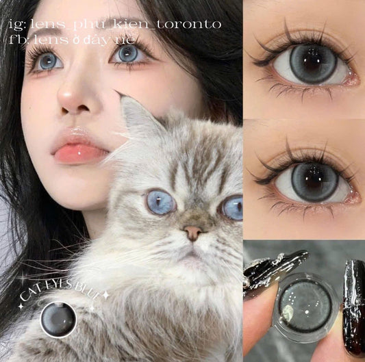 Contact Lens - Cat Eyes Blue