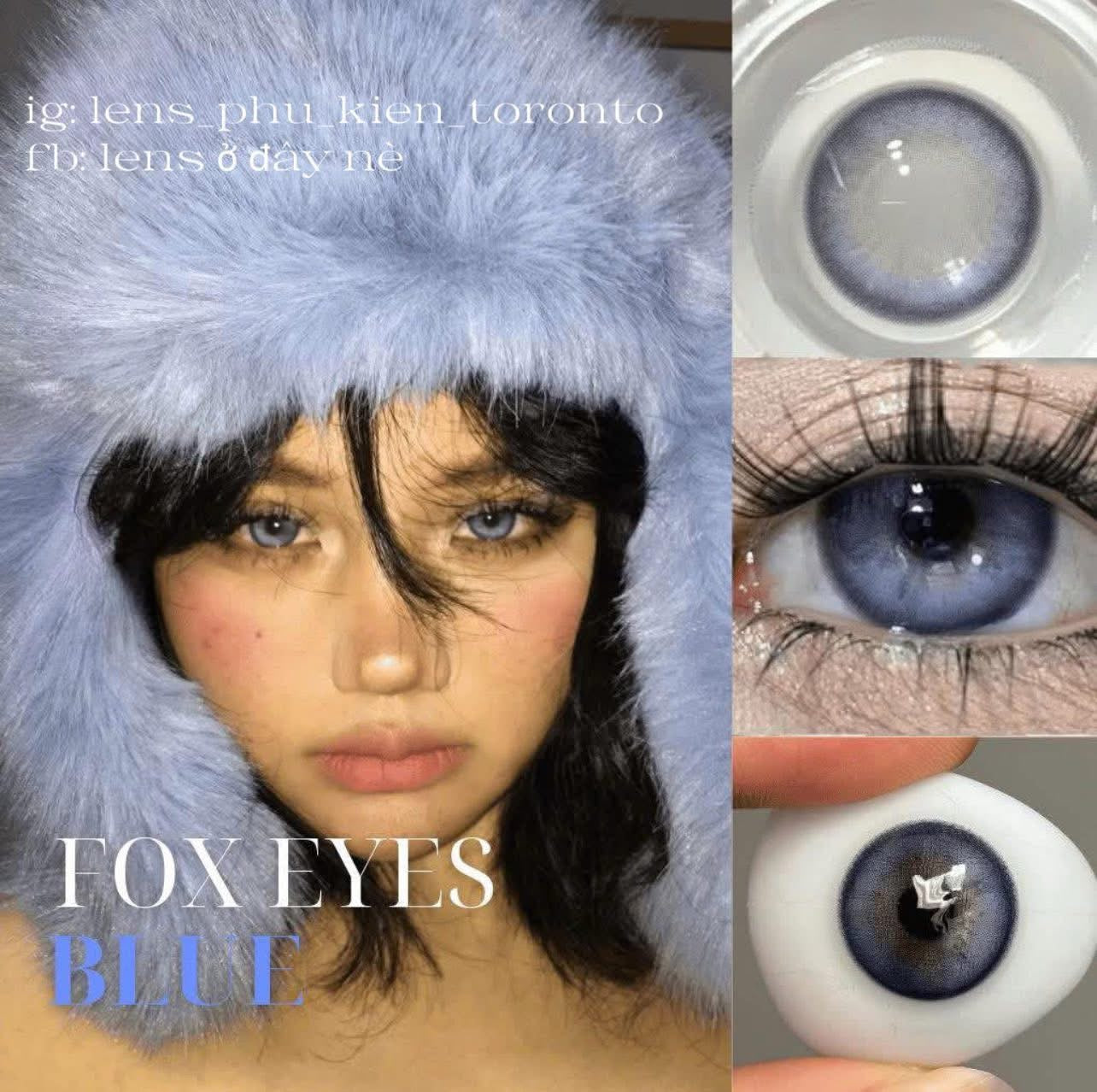 Contact Lens - Fox Eyes Blue