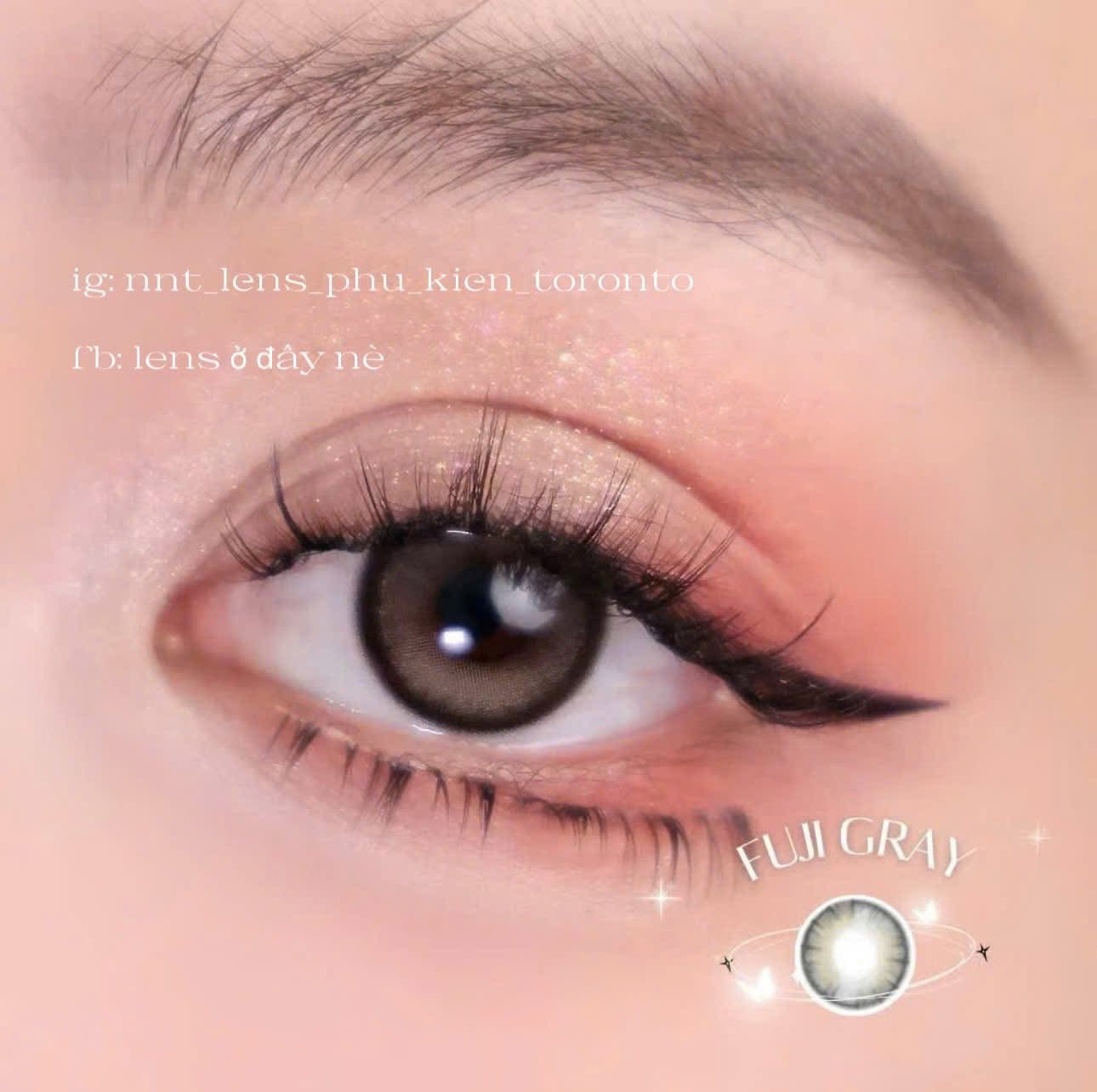 Contact Lens - Fuji Gray