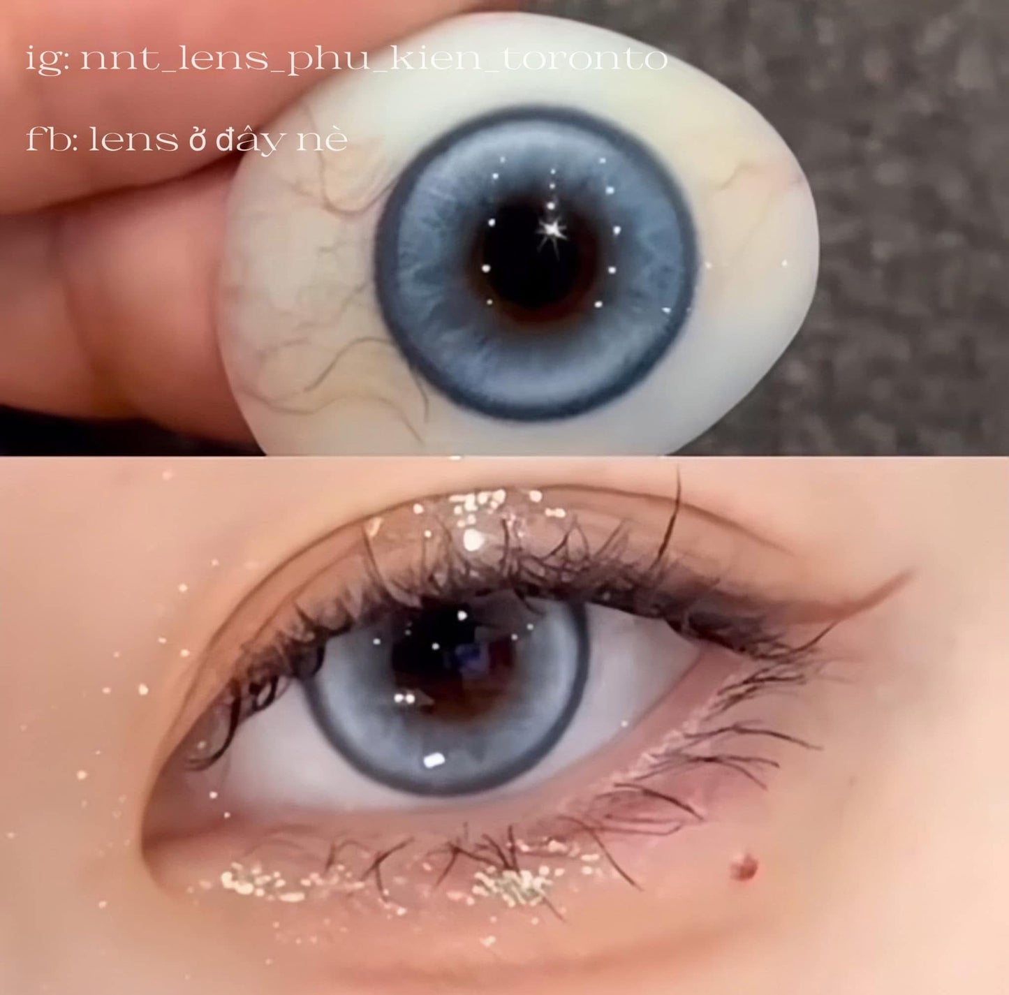 Contact Lens - Maylofi Blue