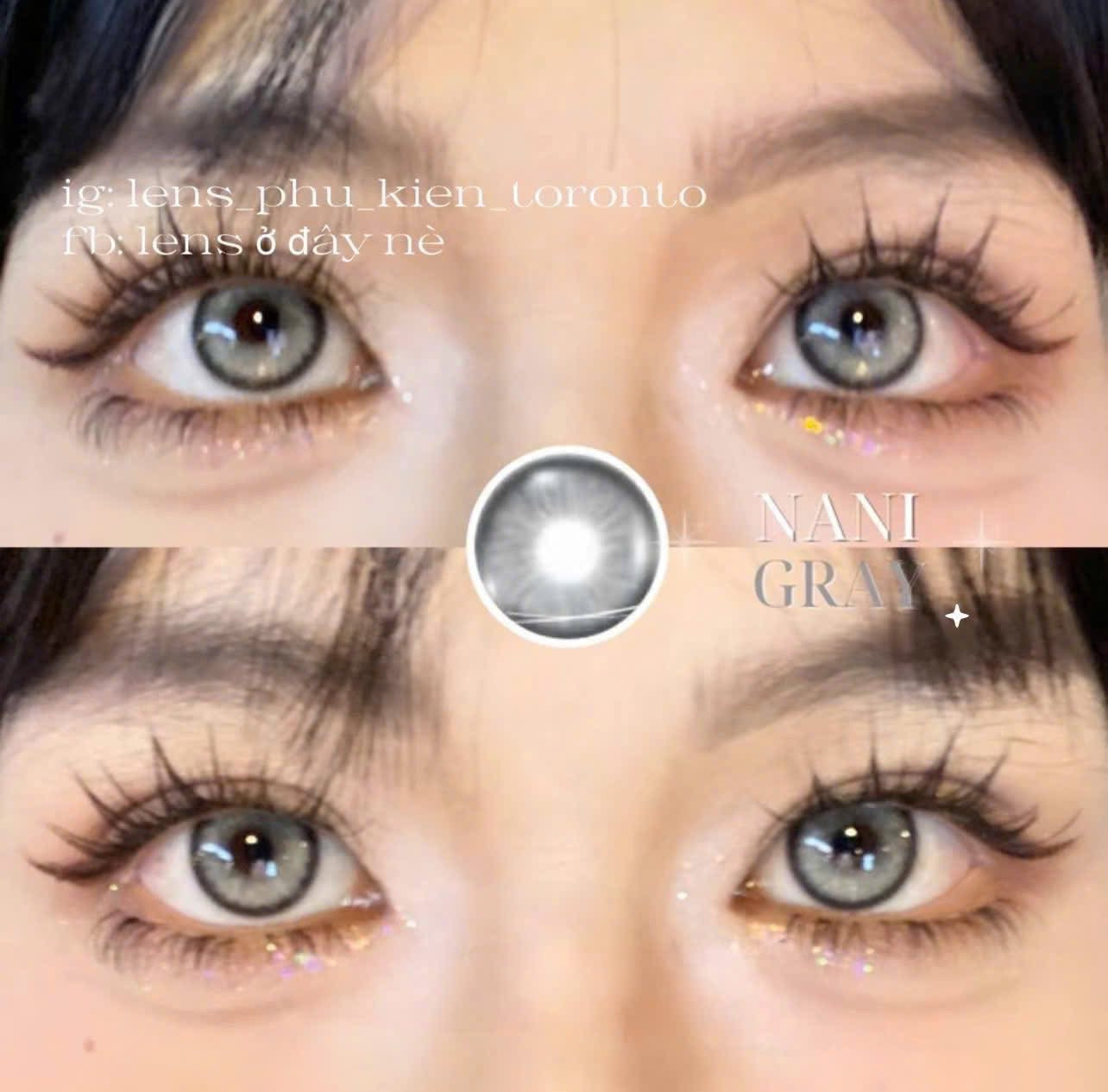 Contact Lens - Nani Gray