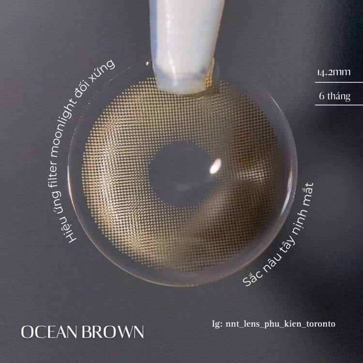 Contact Lens - Ocean Brown