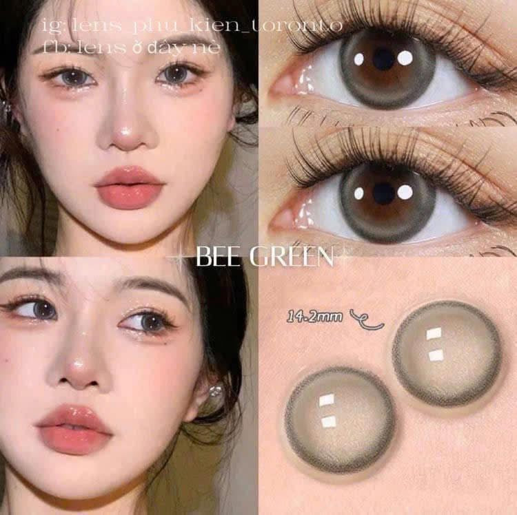Contact Lens - Bee Green
