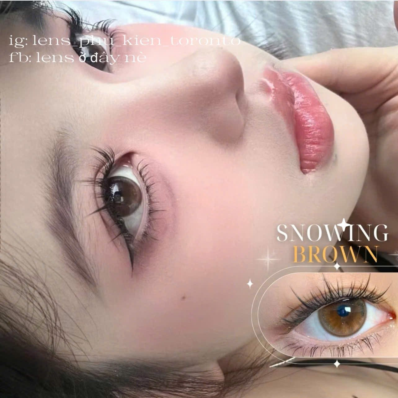 Contact Lens - Snowing Brown