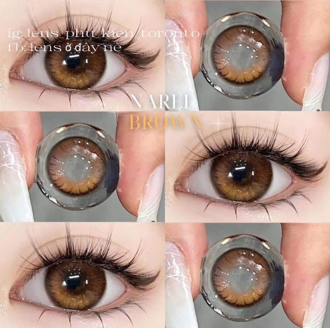 Contact Lens - Naree Brown