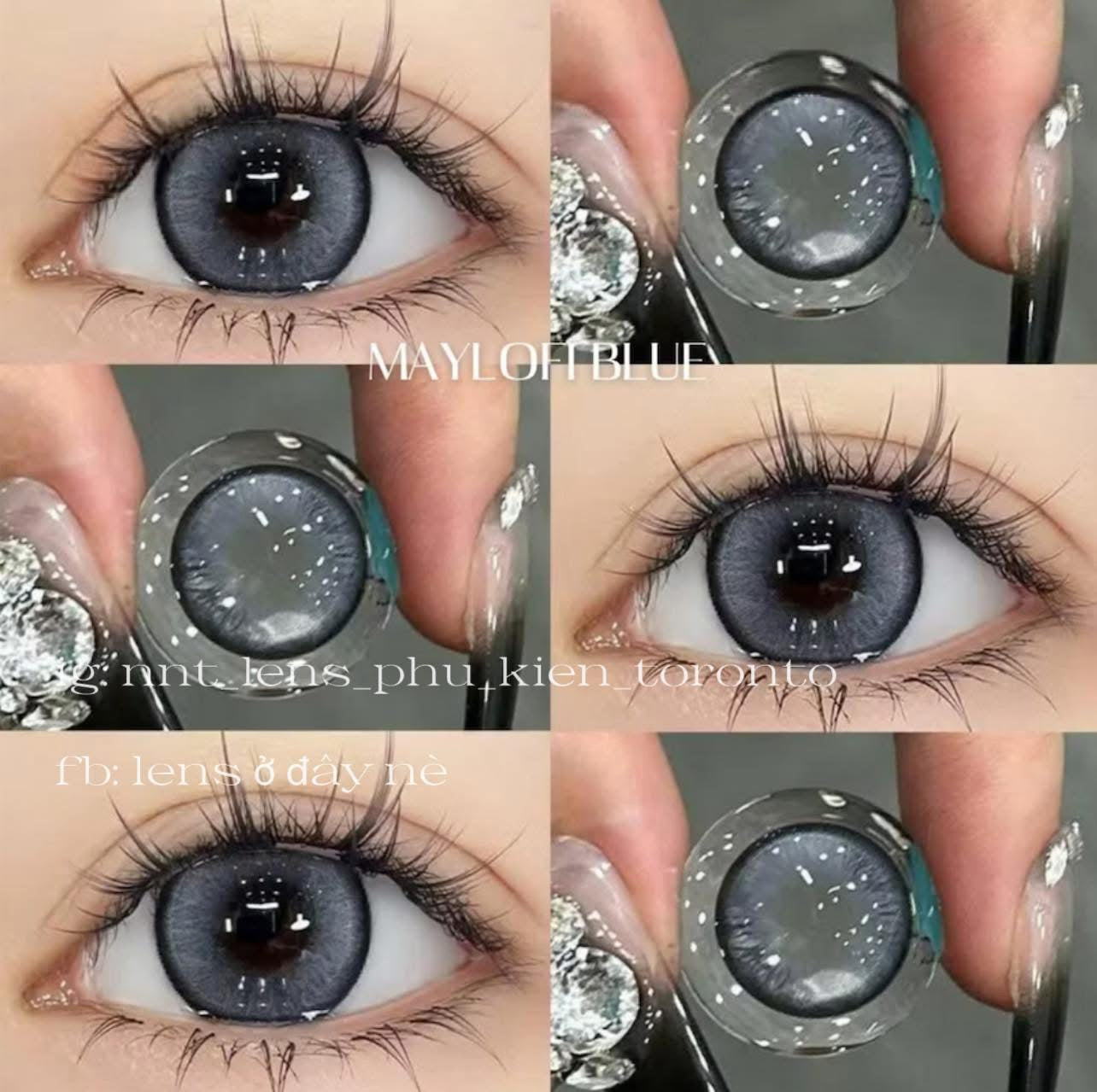 Contact Lens - Maylofi Blue
