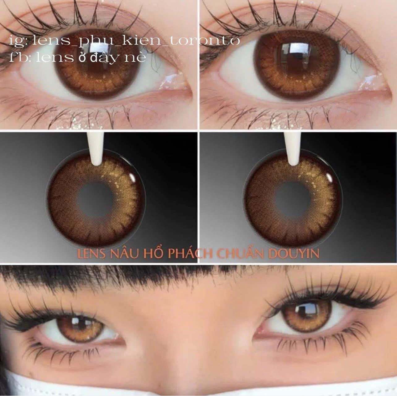 Contact Lens - Naree Brown