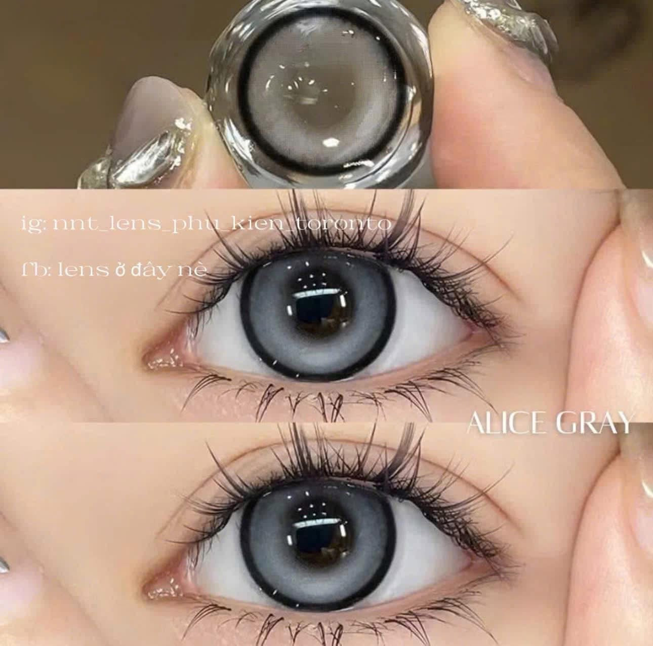 Contact Lens - Alice Gray
