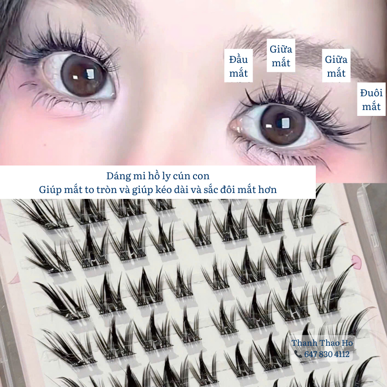 Mi hồ ly cún con sẵn keo