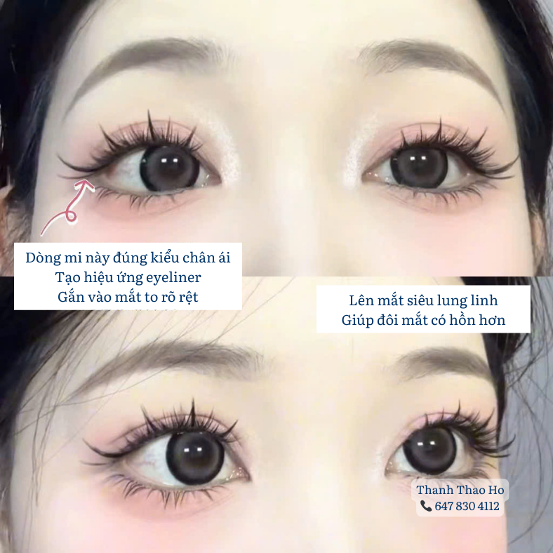 Mi hồ ly cún con sẵn keo