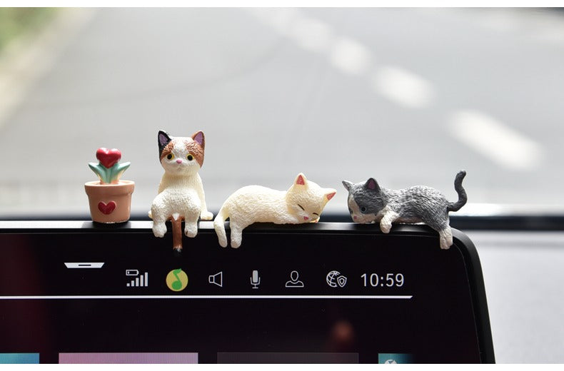 Dán xe mèo ngủ và cây xương rồng
