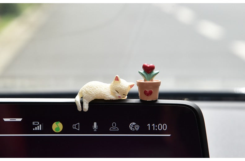 Dán xe mèo ngủ và cây xương rồng