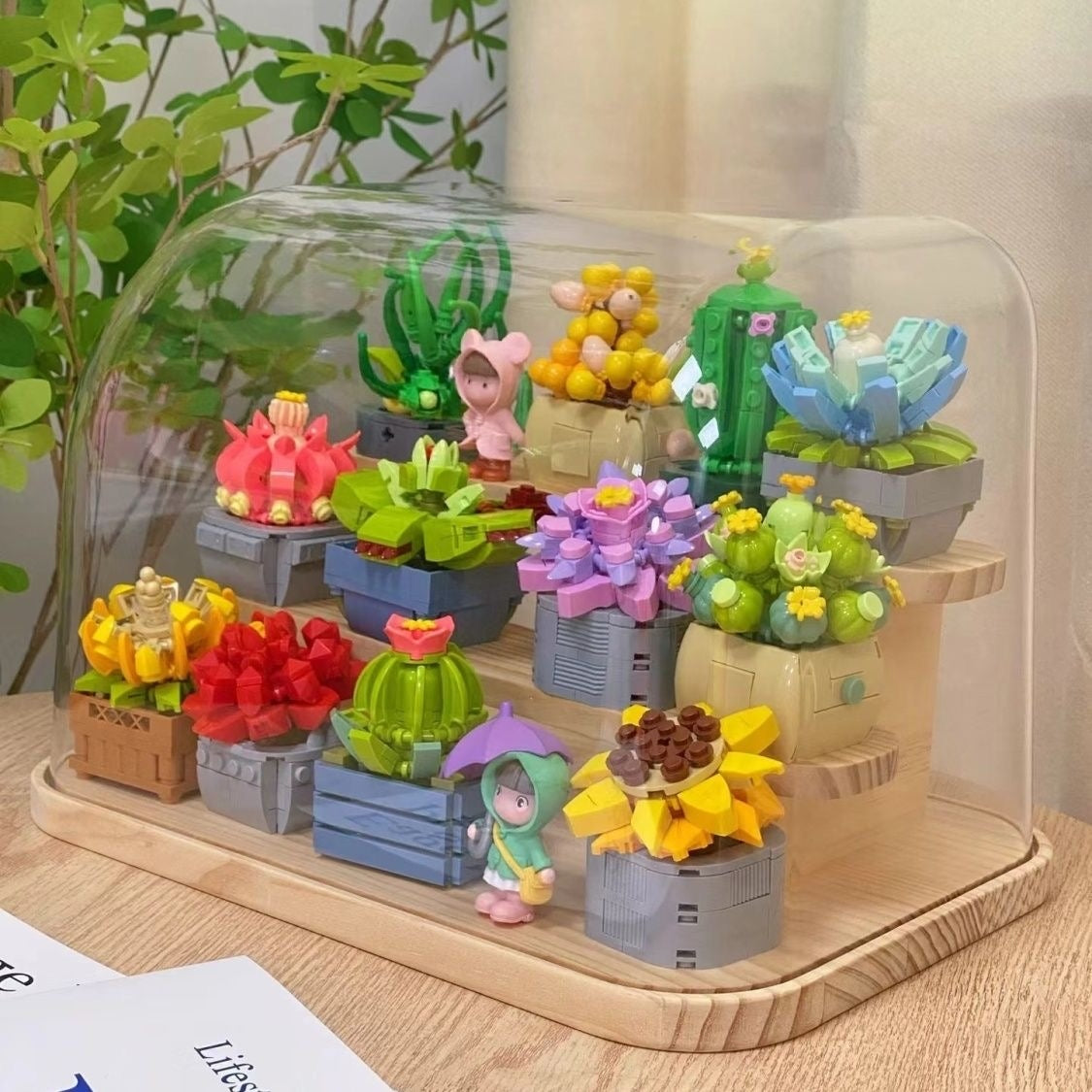Hộp lego trong suốt chậu xương rồng, sen đá kèm hướng dẫn