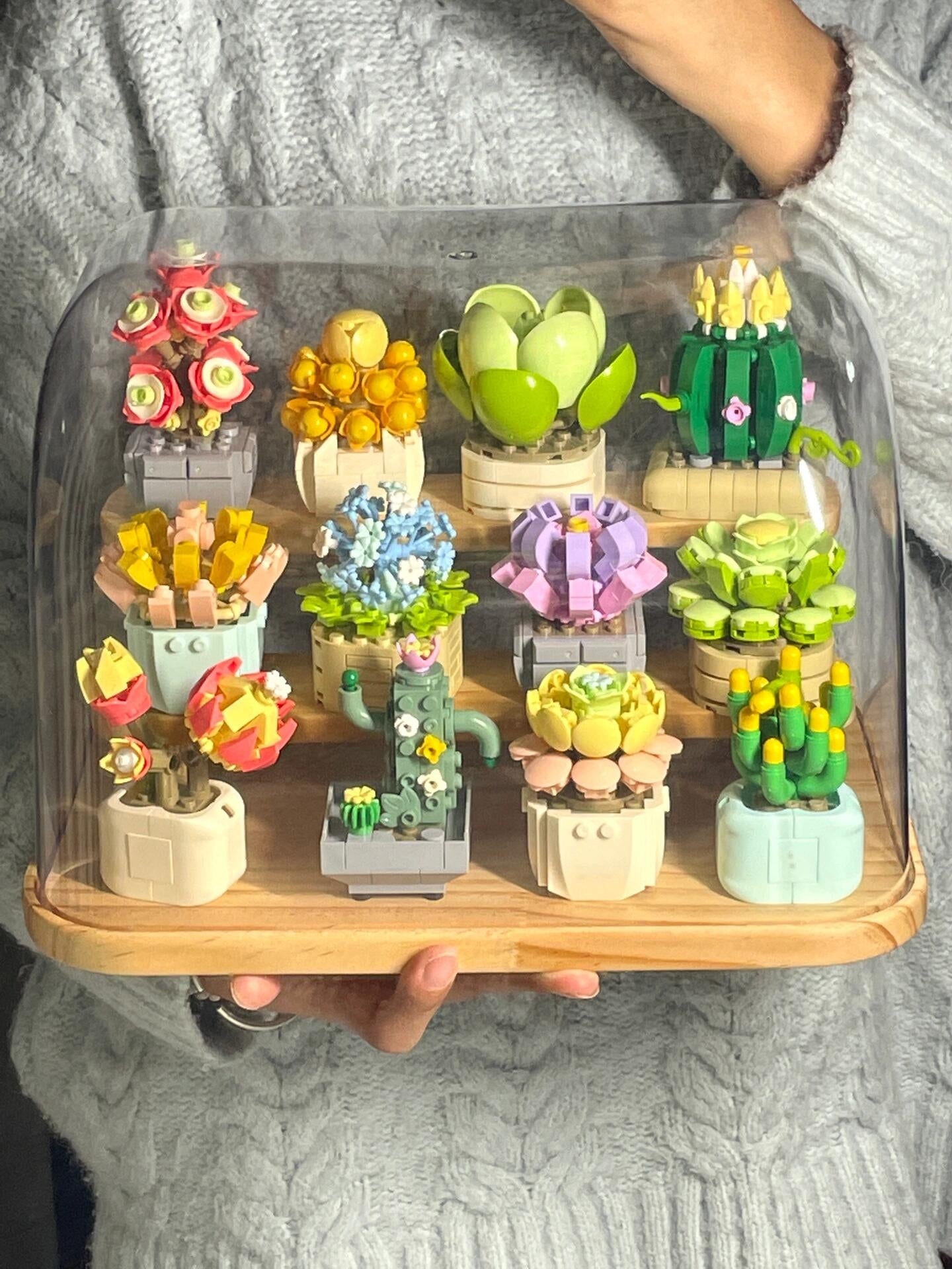 Hộp lego trong suốt chậu xương rồng, sen đá kèm hướng dẫn