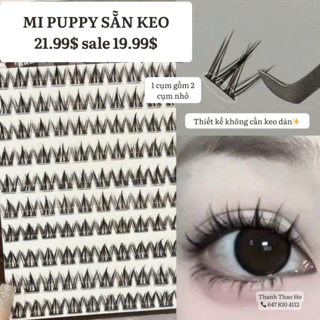 Tổng hợp các mẫu mi giả có sẵn