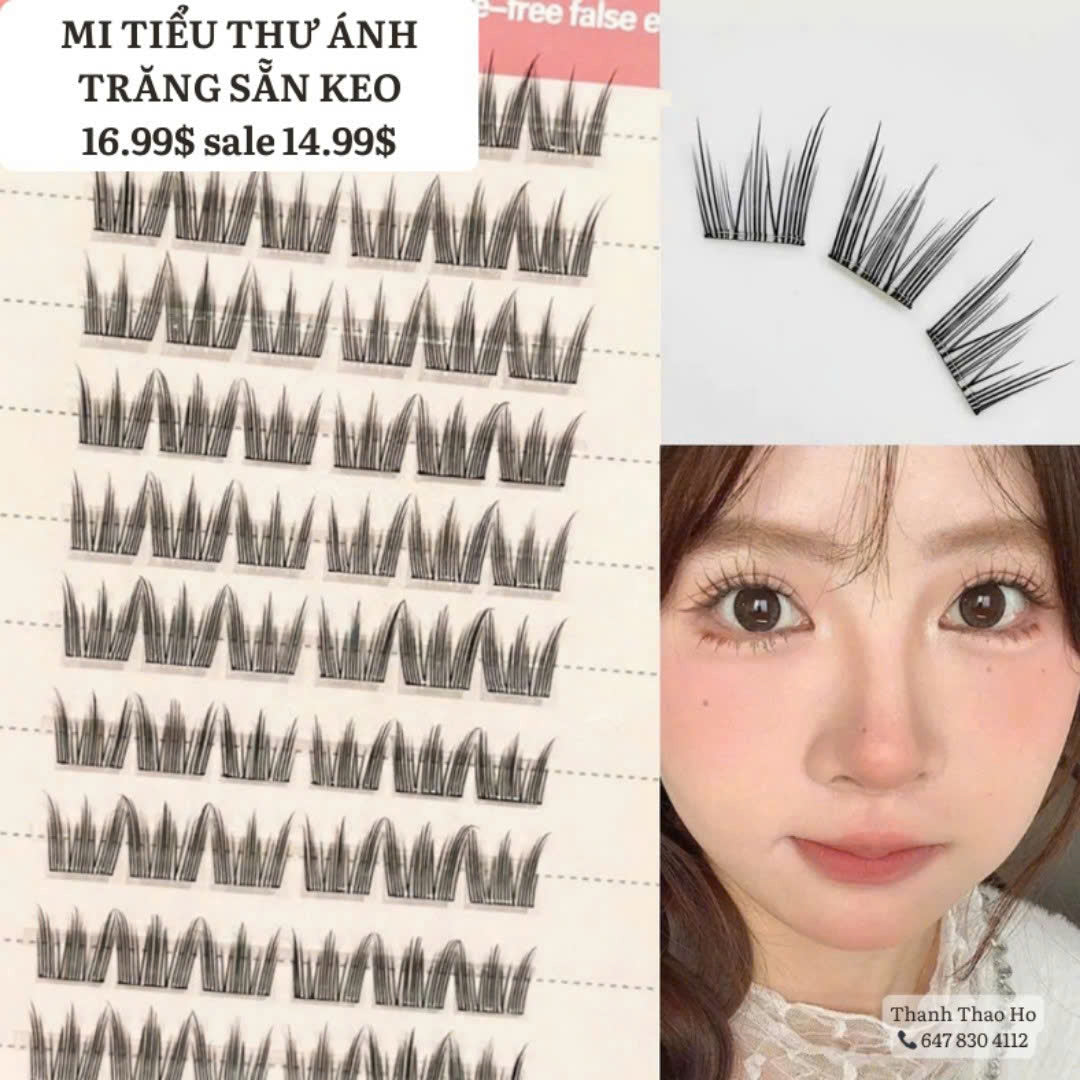 Tổng hợp các mẫu mi giả có sẵn