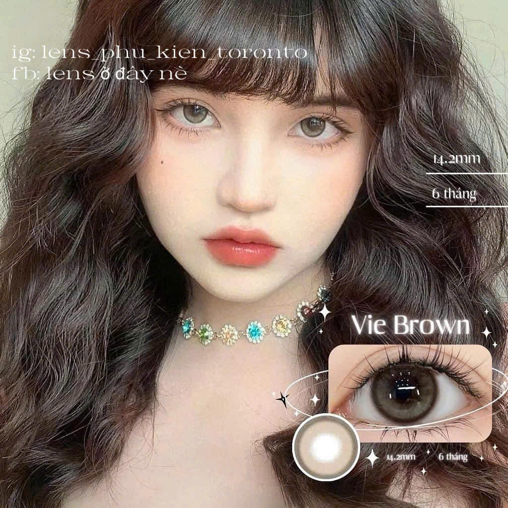 Contact Lens - Vie Brown