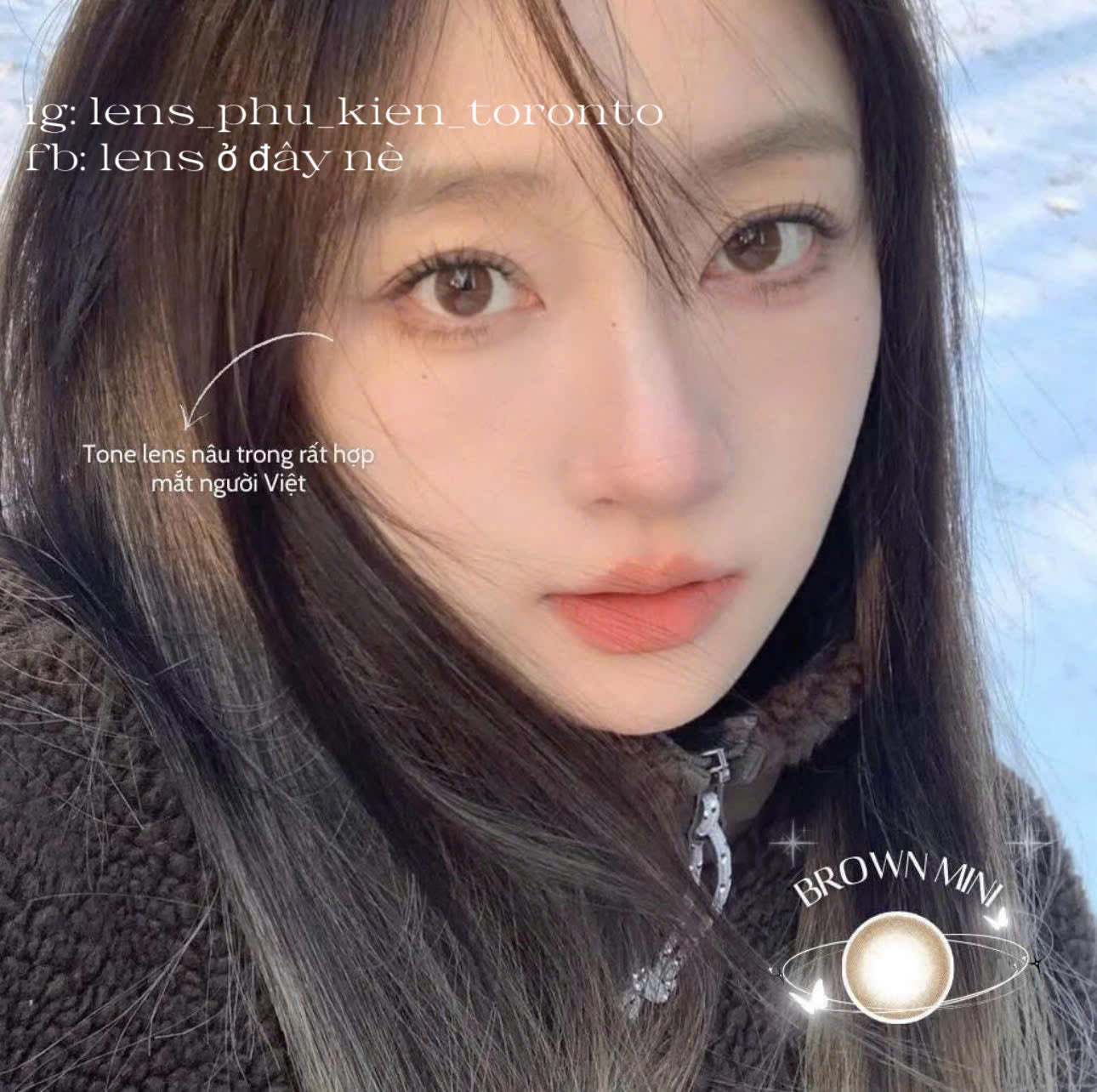 Contact Lens - Brown Mini