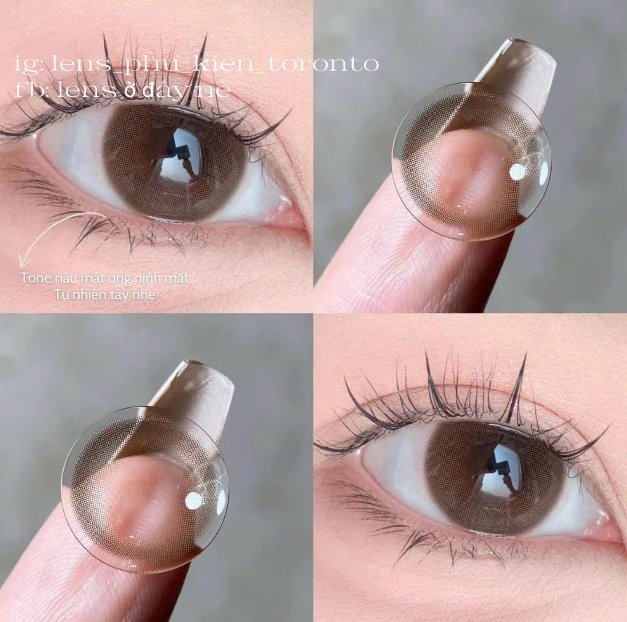 Contact Lens - Brown Mini