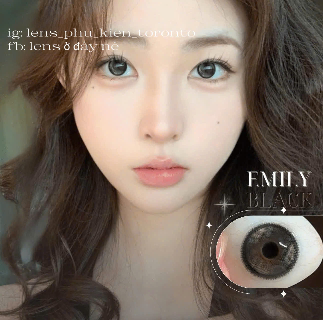 Contact Lens - Emily Black