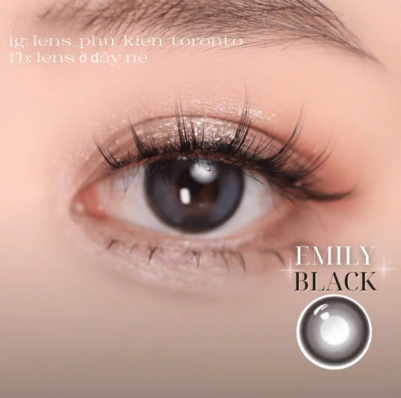 Contact Lens - Emily Black