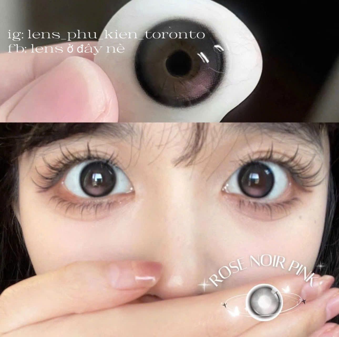 Contact lens - Rose Noir Pink