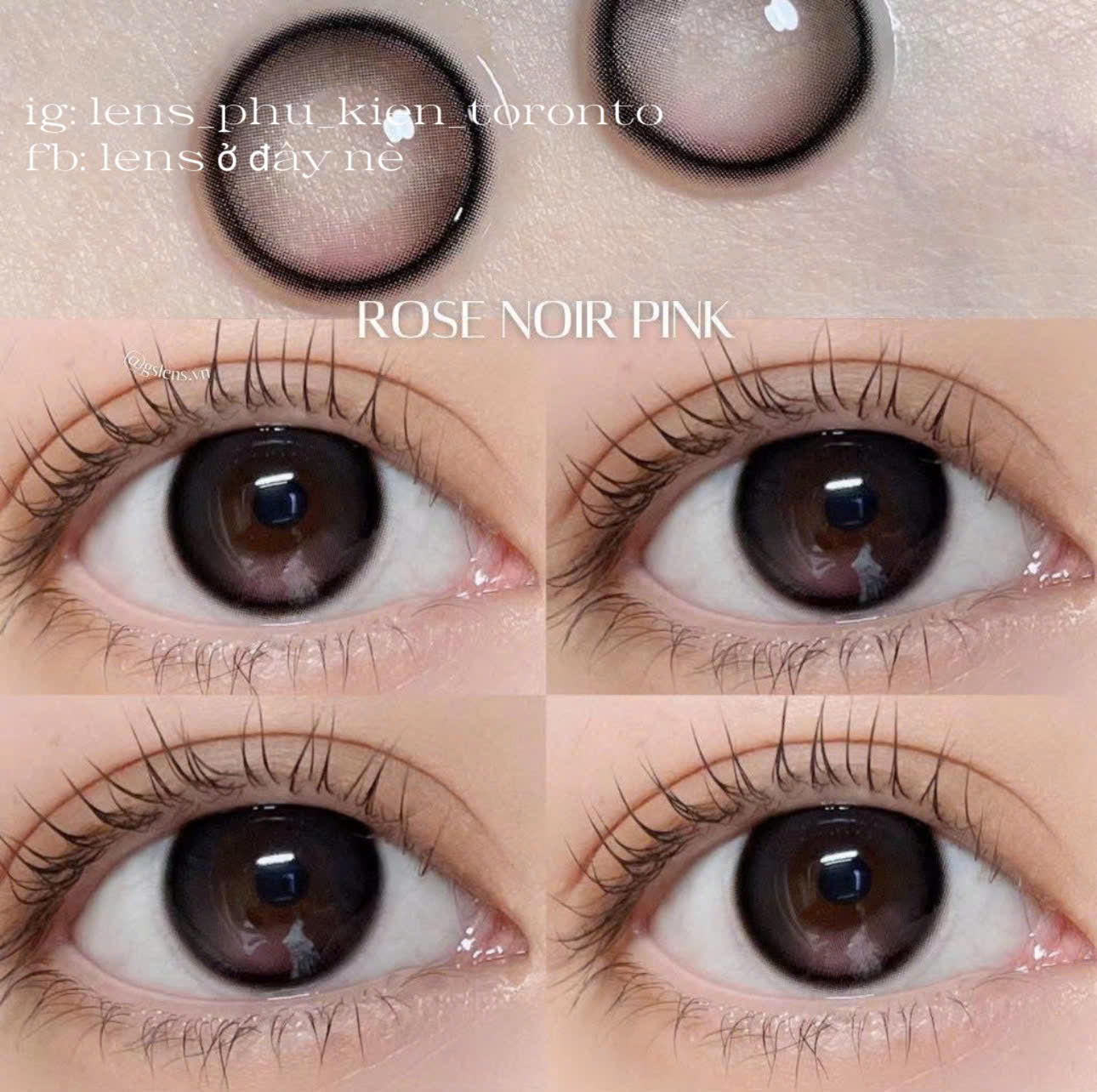 Contact lens - Rose Noir Pink
