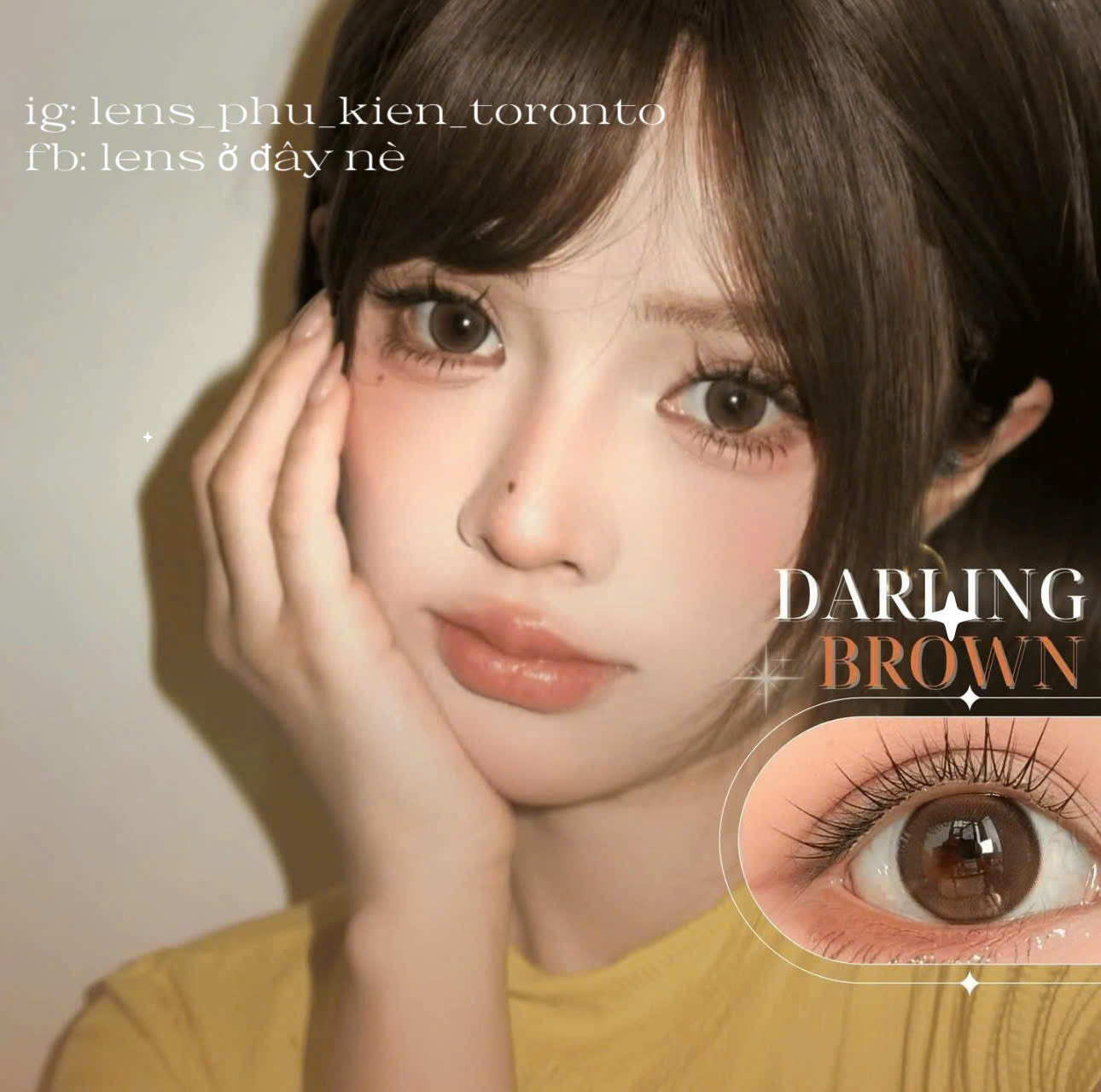 Contact lens - Darling Brown