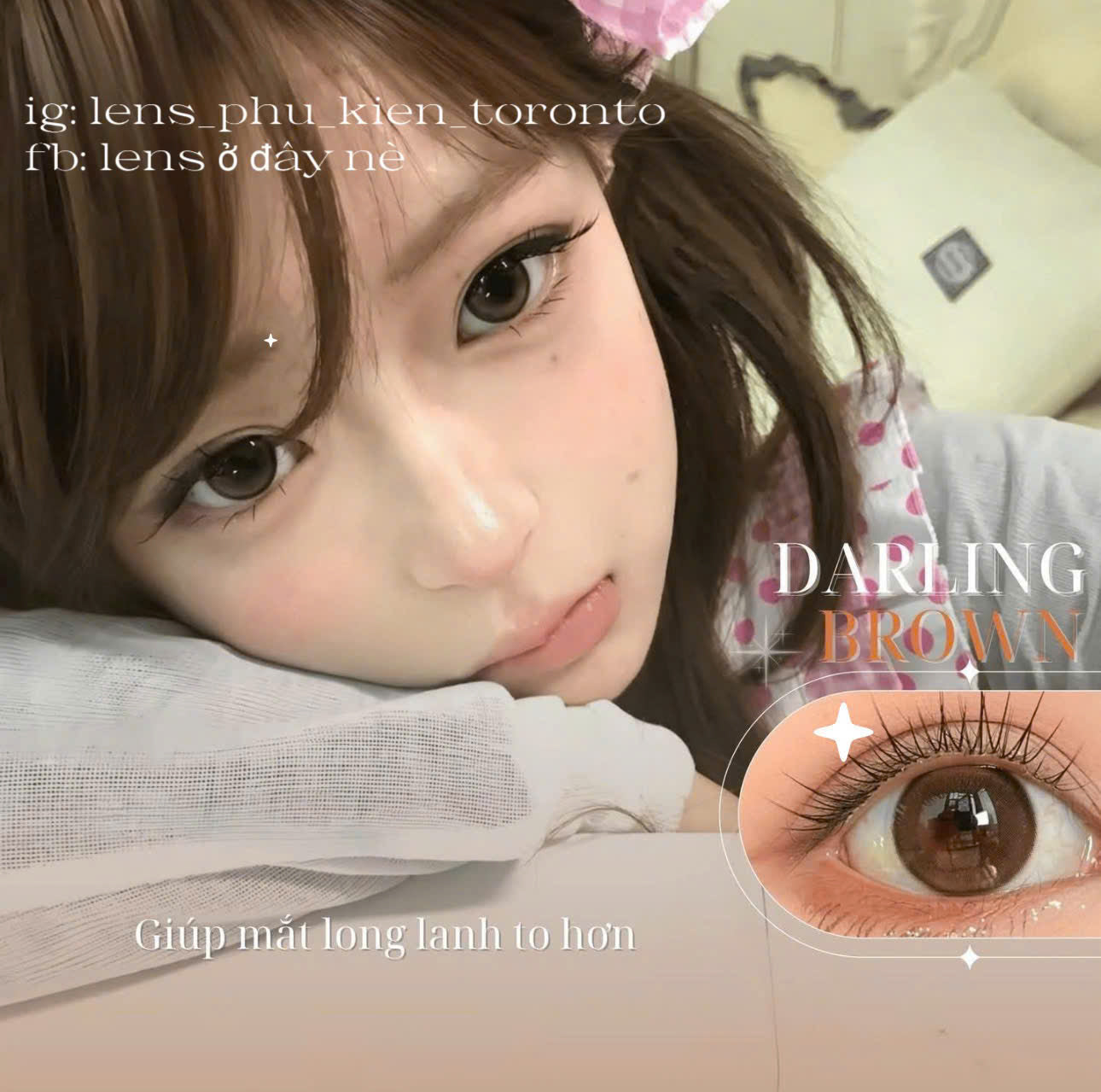 Contact lens - Darling Brown