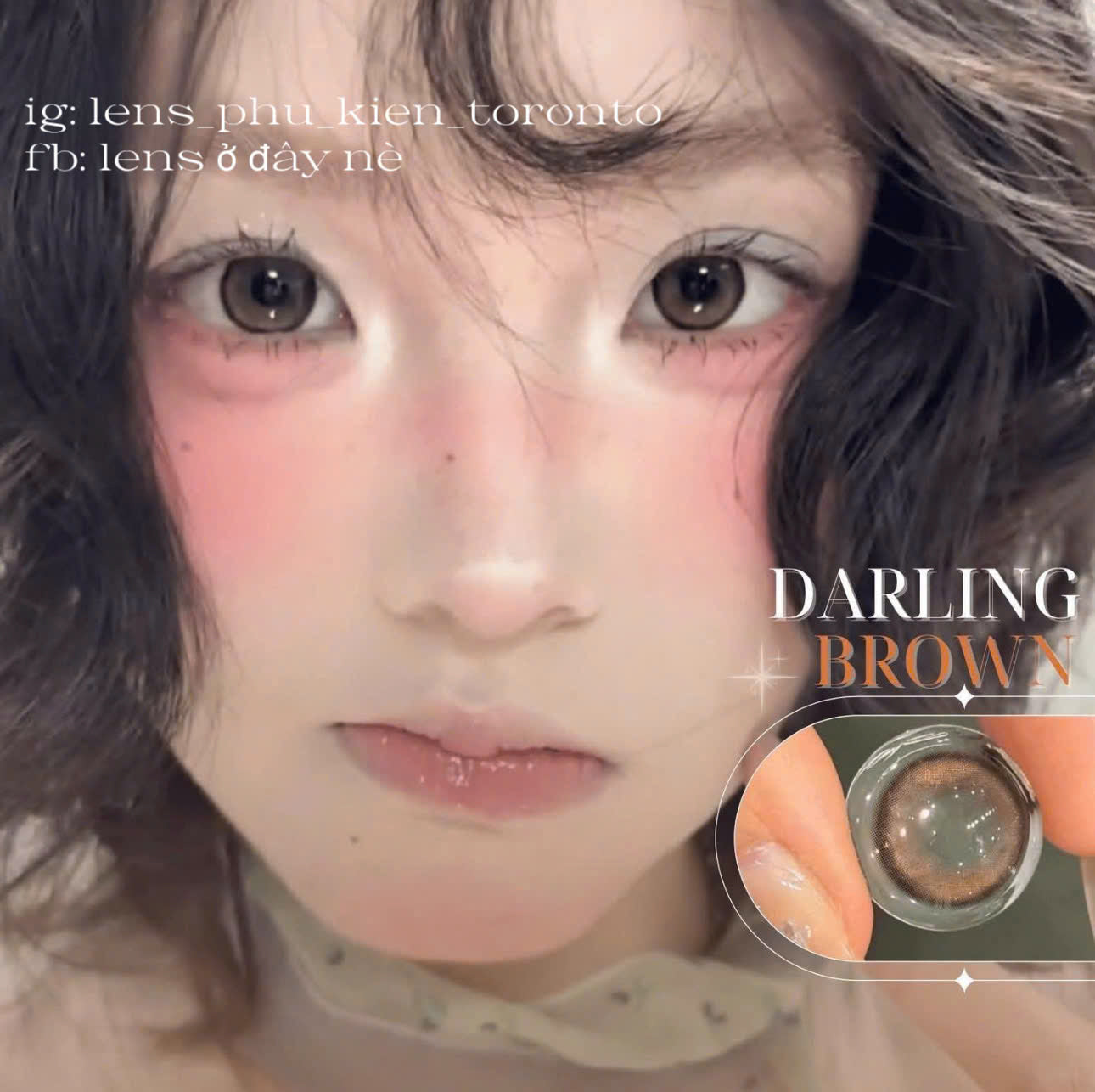 Contact lens - Darling Brown