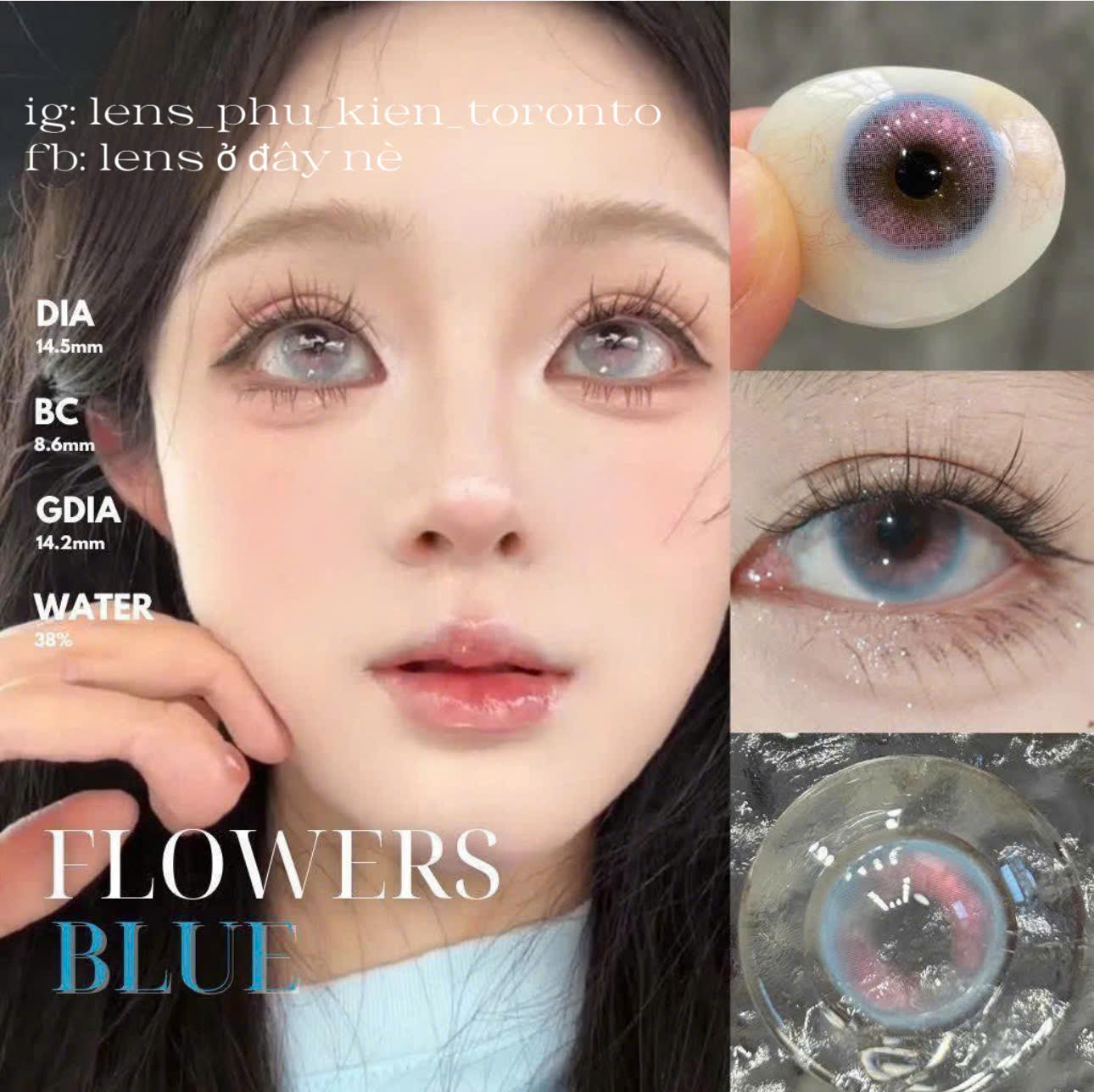Contact Lens - Flower Blue