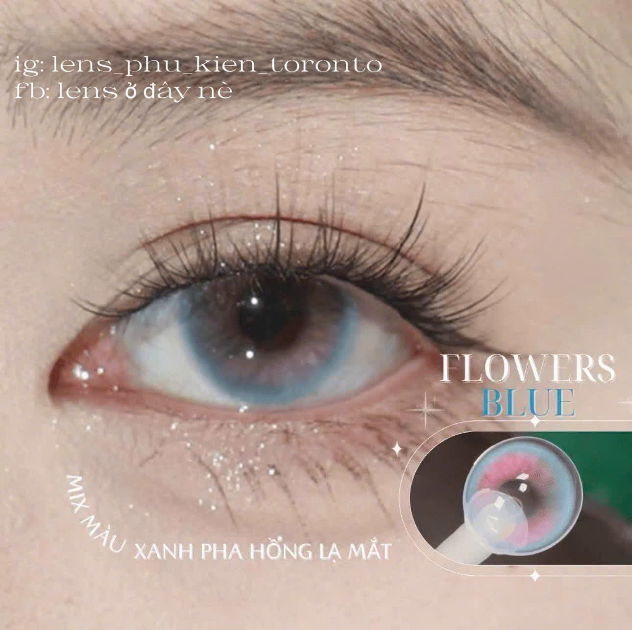 Contact Lens - Flower Blue
