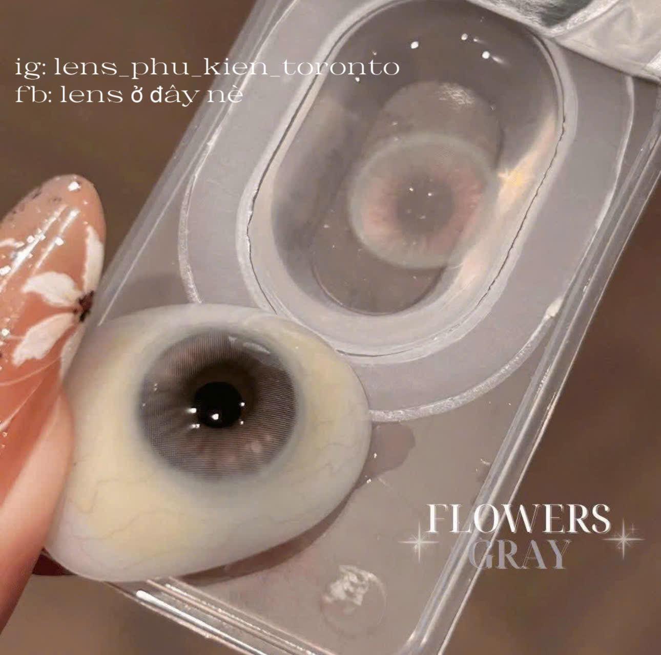 Contact Lens - Flower Gray