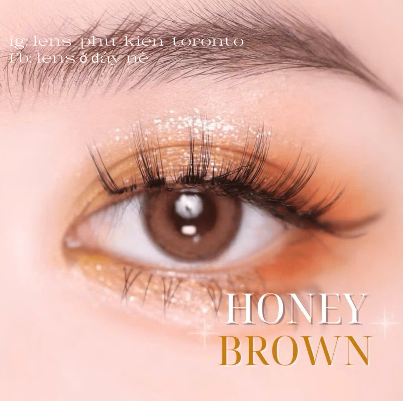 Contact Lens - Honey Brown
