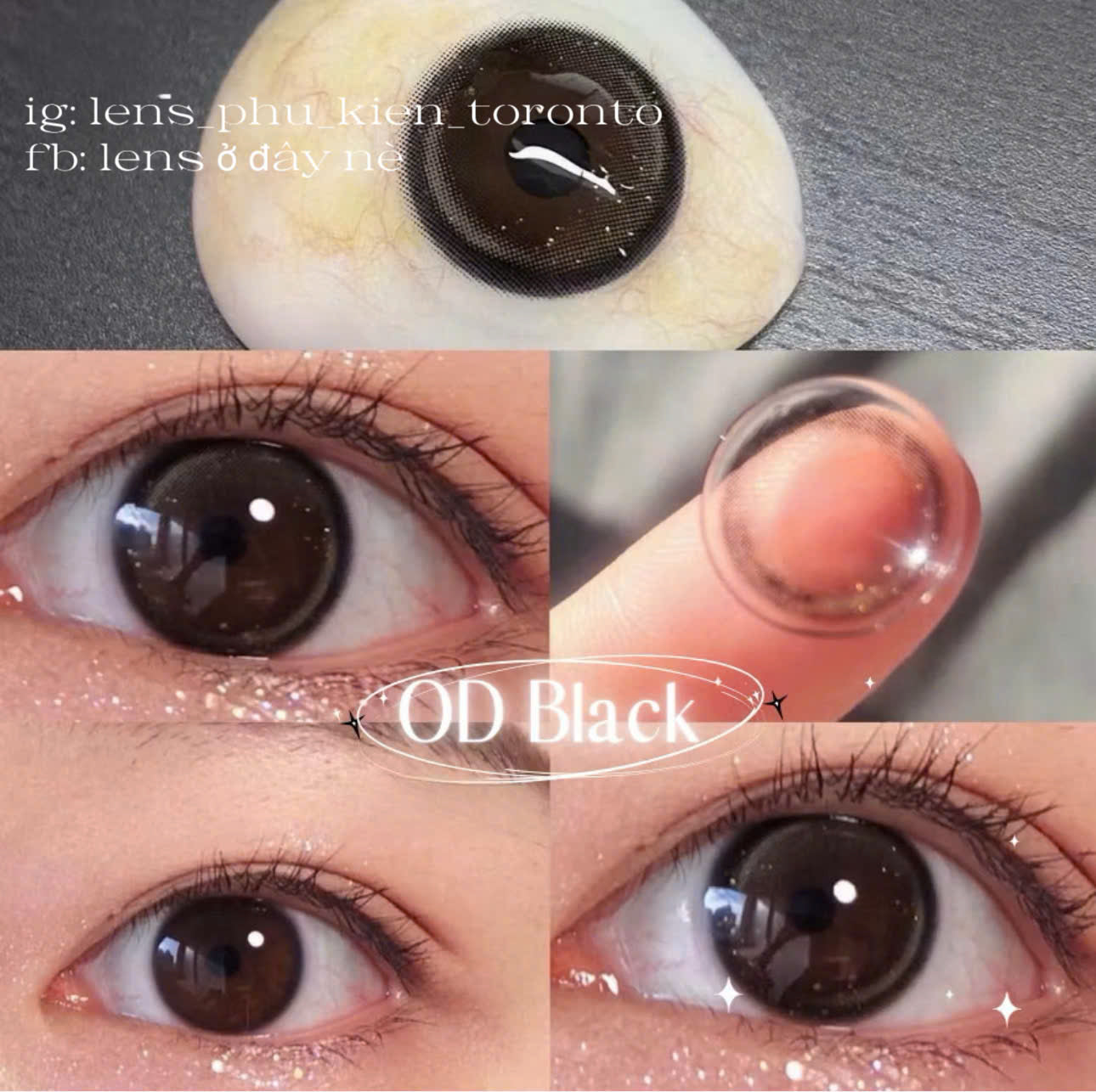 Contact Lens - OD Black