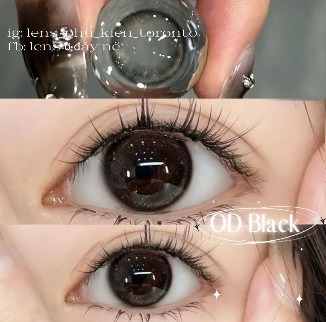 Contact Lens - OD Black