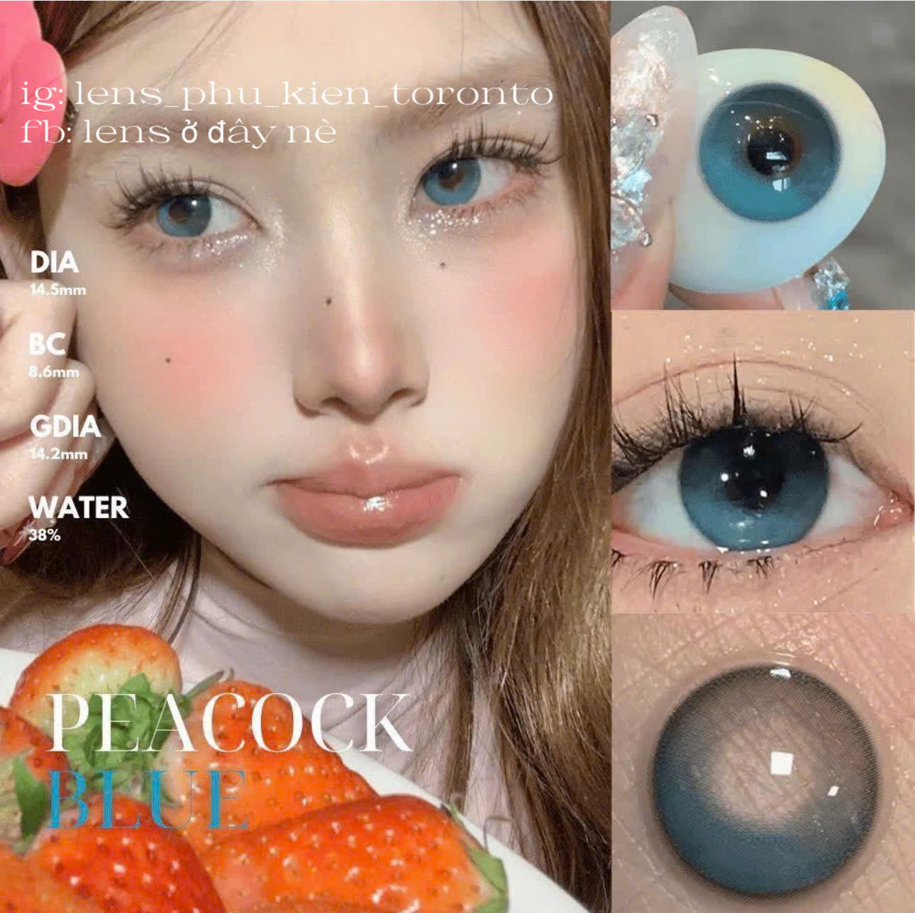 Contact Lens - Peacock Blue