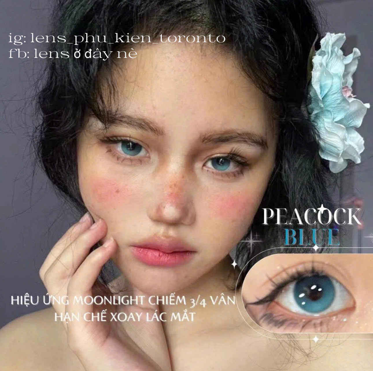 Contact Lens - Peacock Blue