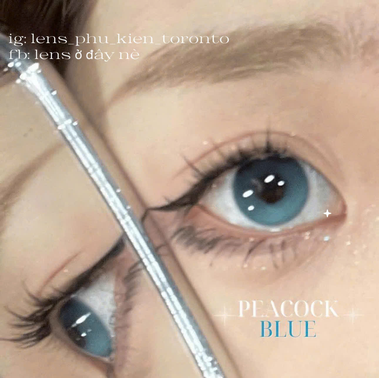 Contact Lens - Peacock Blue