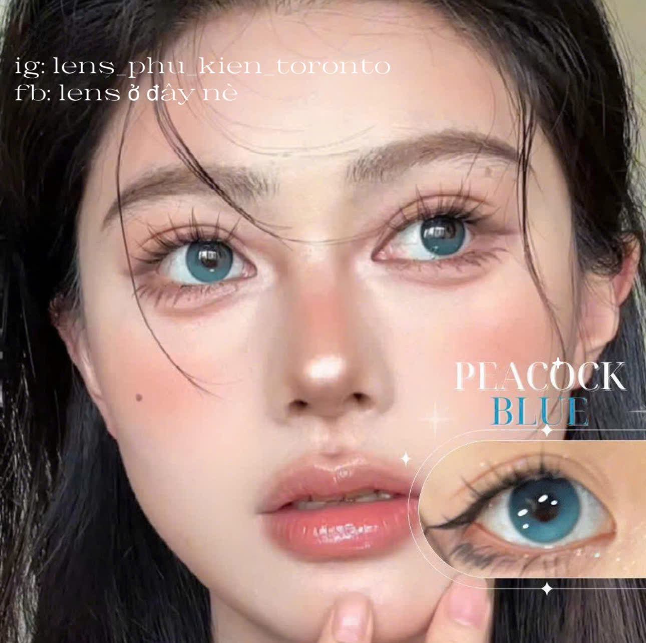 Contact Lens - Peacock Blue