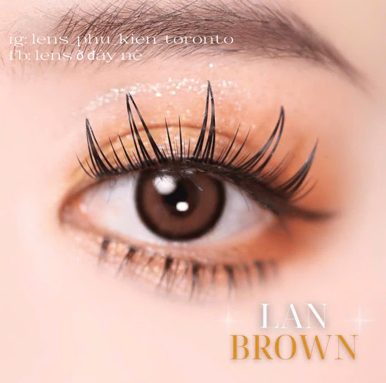 Contact Lens - Lan Brown