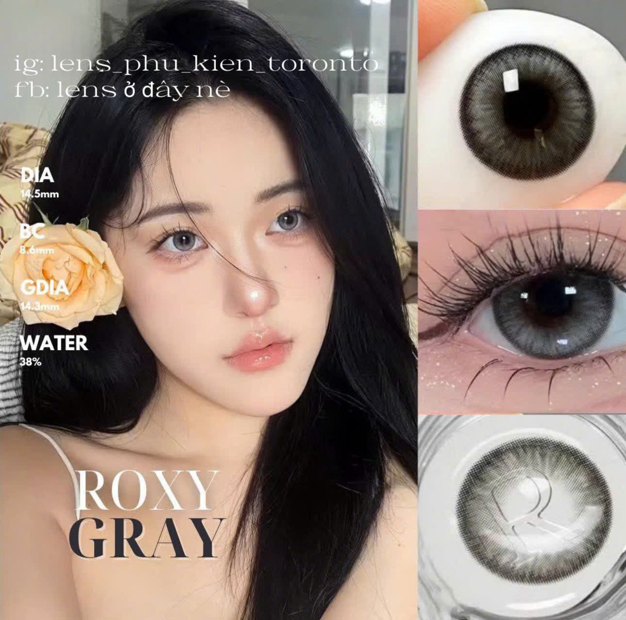 Contact Lens - Roxy Gray