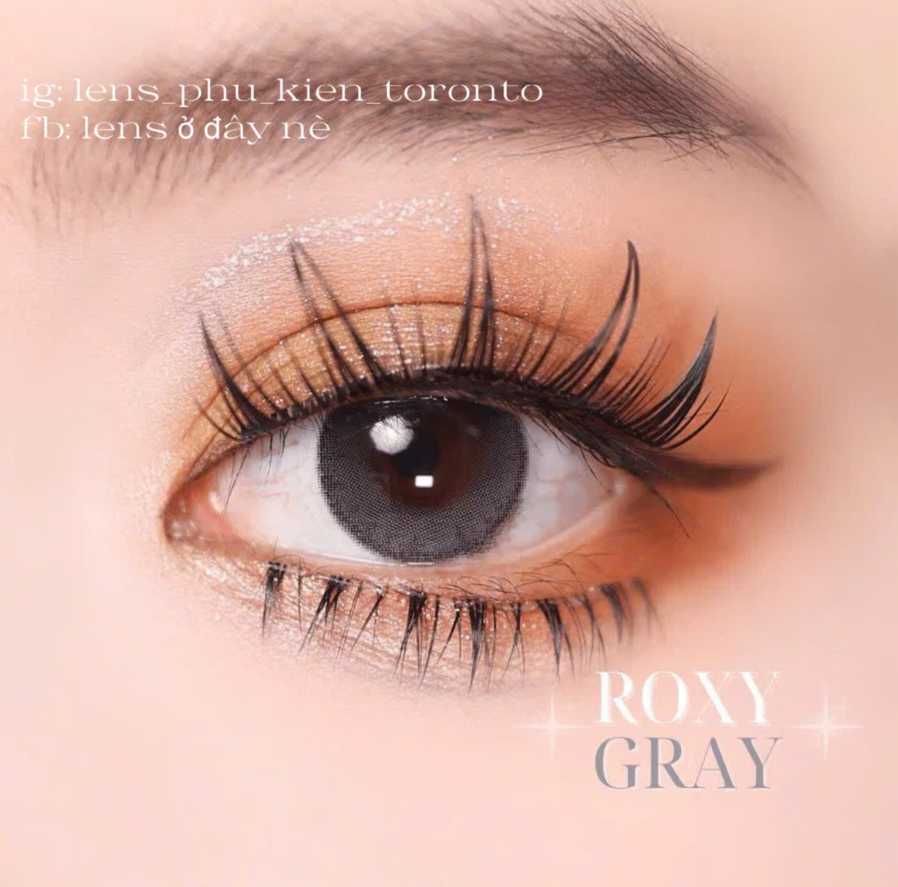 Contact Lens - Roxy Gray