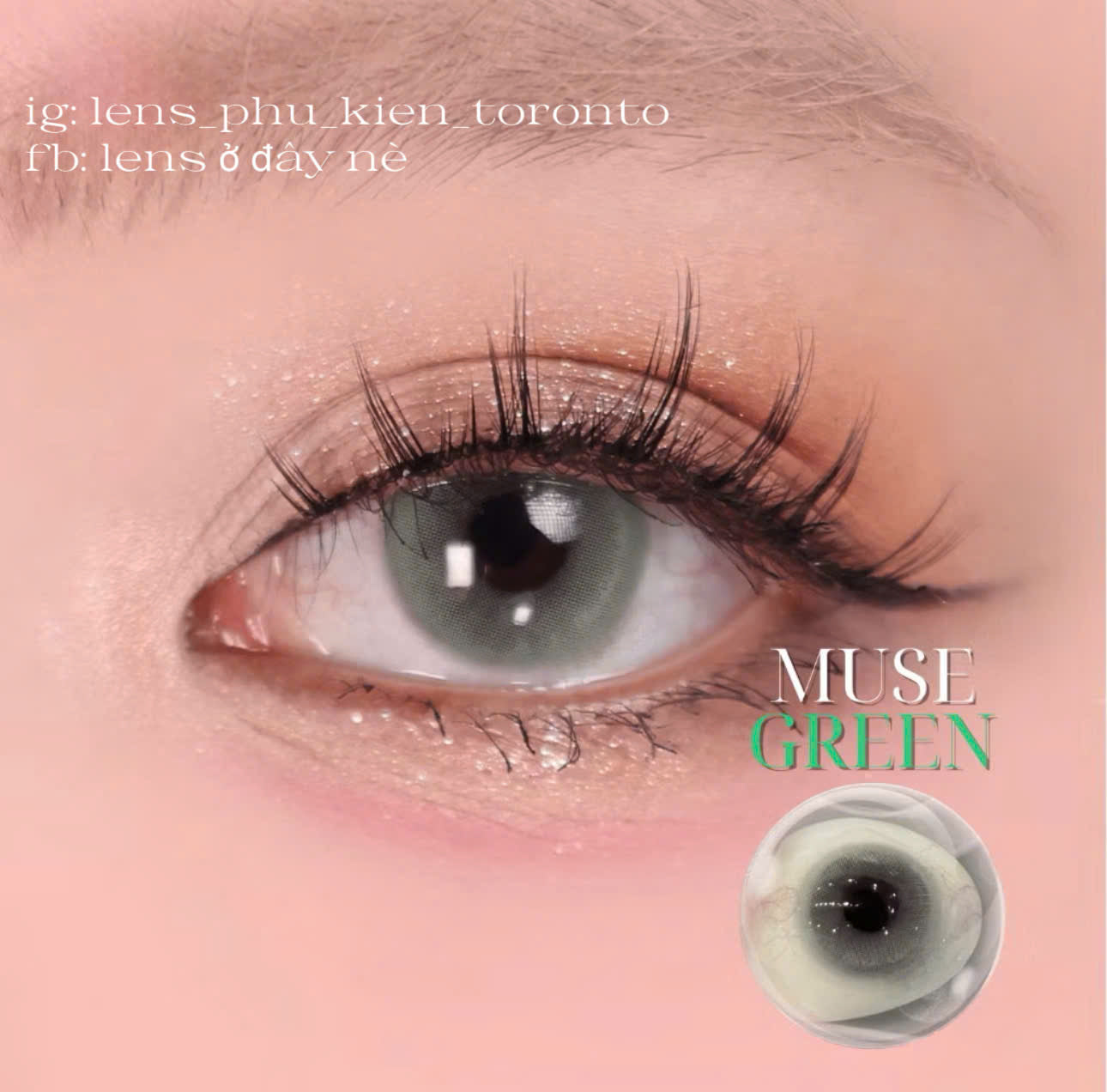 Contact Lens - Muse Green