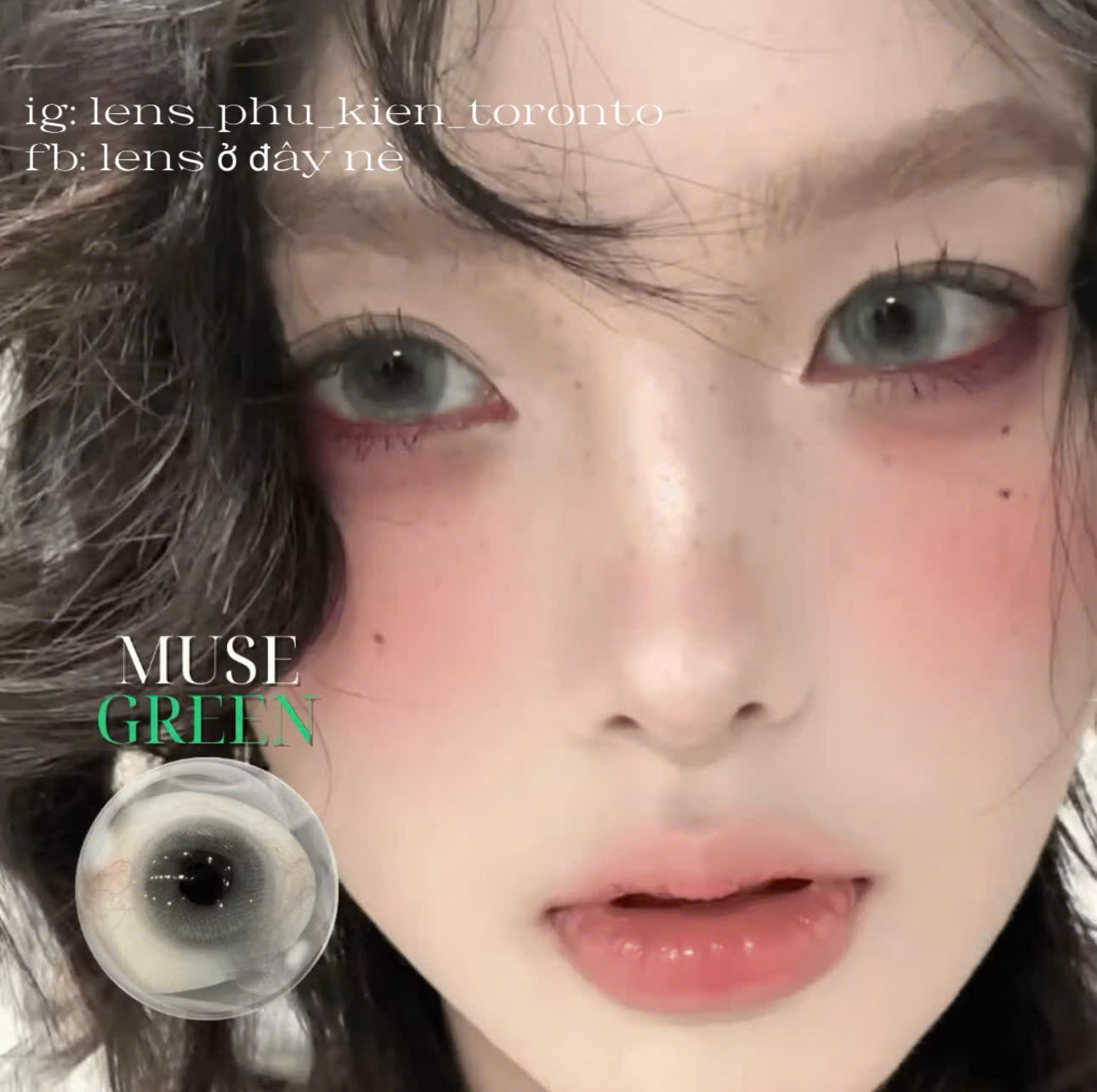 Contact Lens - Muse Green