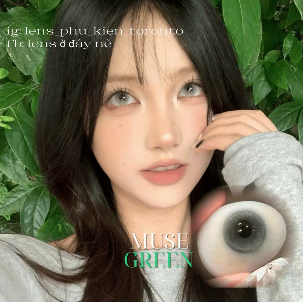 Contact Lens - Muse Green