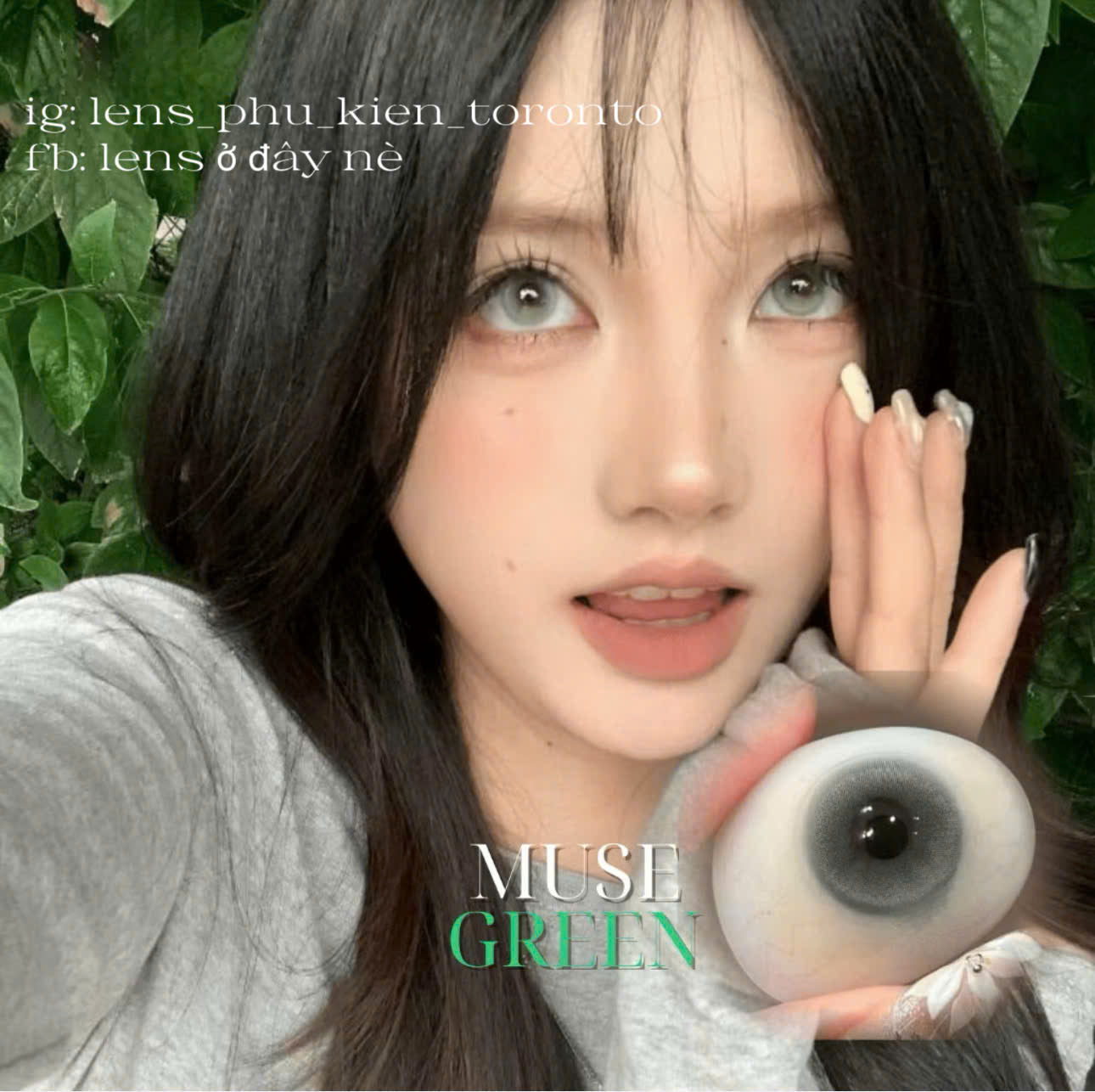 Contact Lens - Muse Green