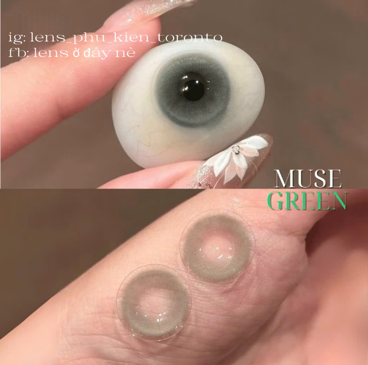 Contact Lens - Muse Green