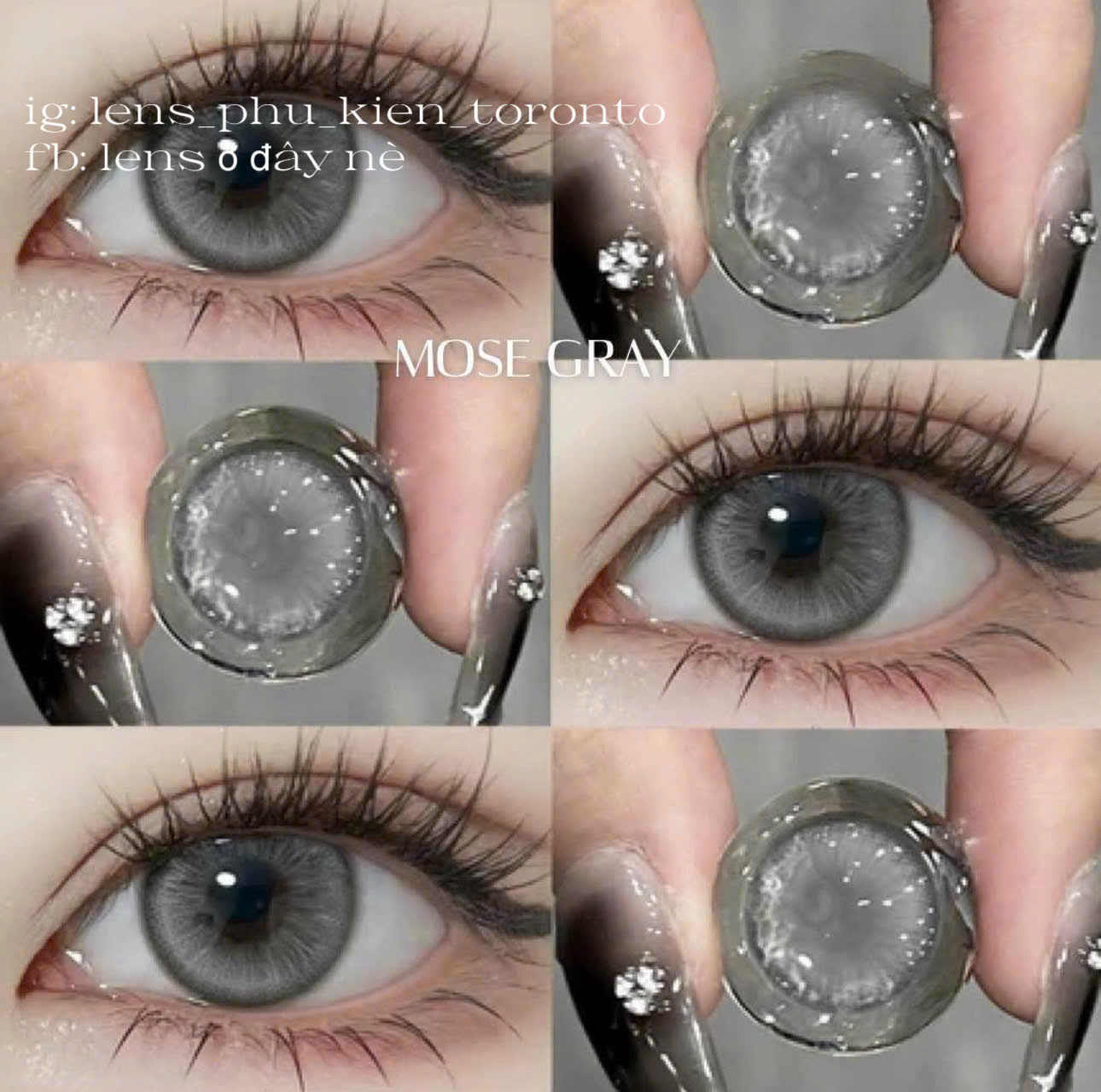 Contact lens - Mose Gray